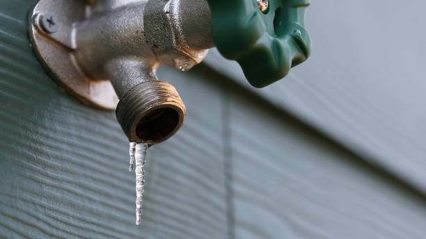 Best Shower Repair Services  in Caddo Mills, TX
